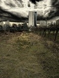 by gianantonio zago marino