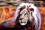 by Donna Proctor