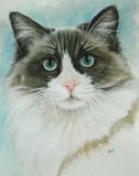 by Barbara Keith