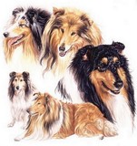 by Barbara Keith
