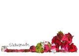 by cherry reynolds