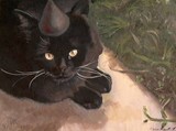 by Amarilli A. Mirtilla