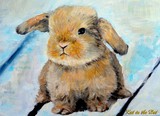 by kathi halickman