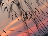 by Heli Aarniranta