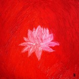 by Hiromi Green