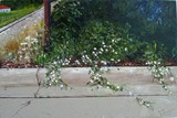 by Doris Blessington