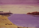 by robert minchin