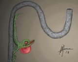 by Maria Anna Machado