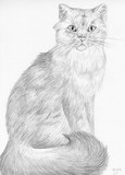 by A L Tipton