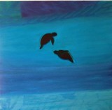 by Nicole Whittaker
