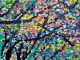 by Lorinda Case