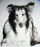 by Robin Medford