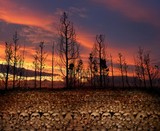 by Panos Mattheogiannis