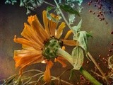 by margaret waage