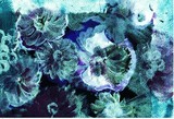 by Anne Whiteway