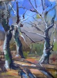 by shalva cheishvili