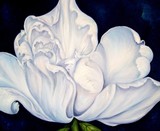 by Elsa Gallegos