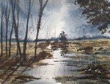 by Steven Cronin