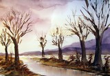 by Steven Cronin