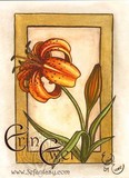by Erin Ewer