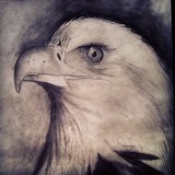 by Cole Soucie