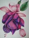by Lisa Luchia Stocks