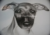 by Jeff Vanvoorhees