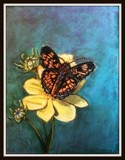 by Sharla Derry