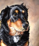 by Rachael Brossart