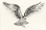 by Geraldine Simmons