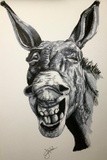 by James Corcoran