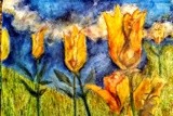 by Donald Williams