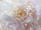 by Kimberly Fedoruk