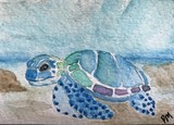 by Pamela Becker