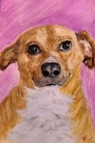 by Joanie Holliday