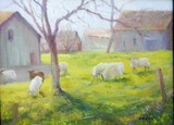 by Peggy Casey-Mason