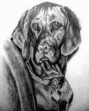 by Jose Feliciano