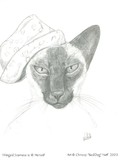 by Chrissy Neff