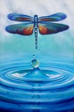 by Miguel Grijalva