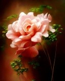 by Elizabeth Mix
