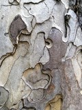 by Marie josé LAURIER