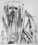 by Dana Koffenberger
