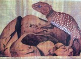 by Zareena Qureshi