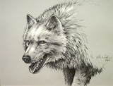 by Mike Worthen