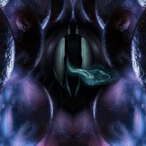 by seth rose