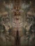by seth rose