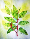 by Surekha  Rao