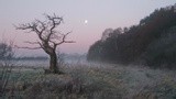 by Peter Wetton