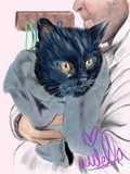 by Ariella Belau
