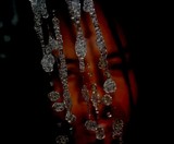 by Donna Mekeda Bradley